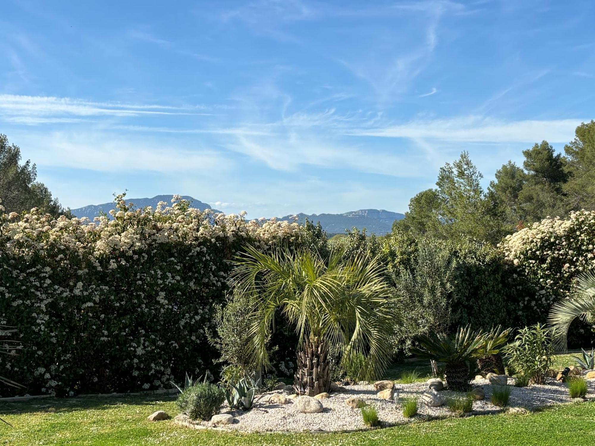 Joli Havre De Paix Villa Prades-le-Lez Eksteriør billede